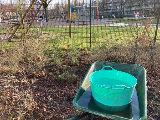 rinibiemans's tweet photo. Nog even wat water geven aan Jaap’s coniferen. Het was een mooi moment #wezullenjenietvergeten 🍀 #park1943 @proefpark https://t.co/8Fcc1HpVXJ