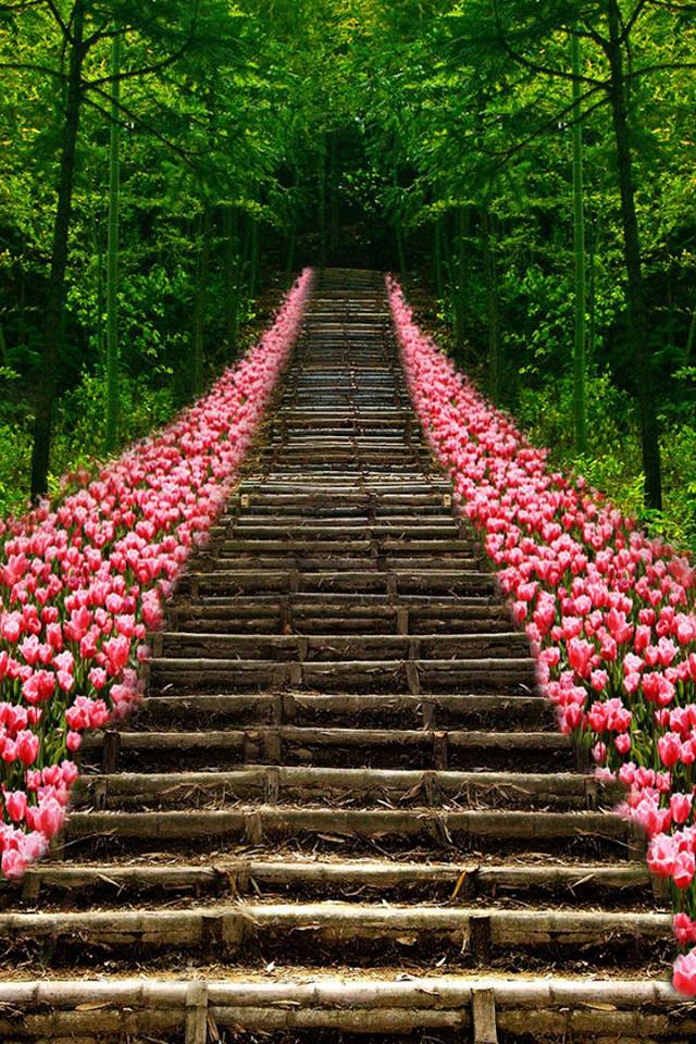 BournLeaders's tweet photo. Every little step in the right direction will take you to your destination.  On that journey, remember to stop and enjoy the scenery, the experience and smell the flowers!

Consistency is key 🗝️ https://t.co/cYh8pZha6U