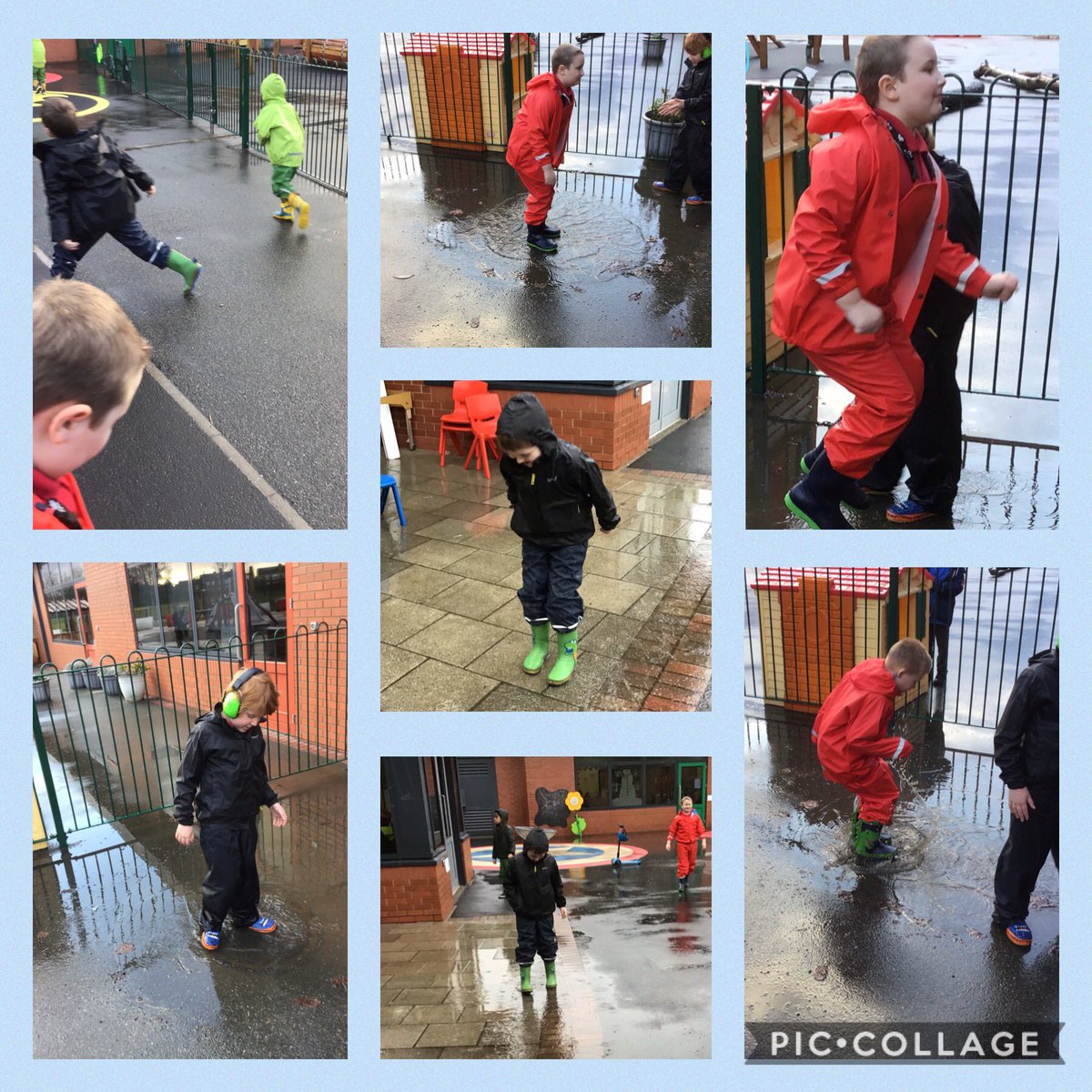 Red 1 has enjoyed splashing  in the puddles this week.🌧