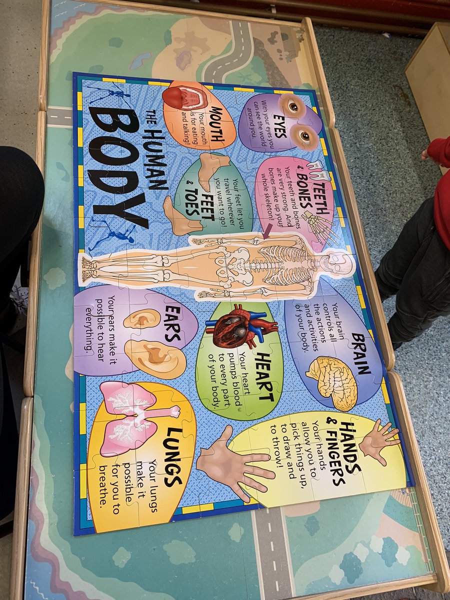brighterbunnies's tweet image. Sonny and Isla enjoyed making the #humanbody jigsaw and #learningbodyparts this is a great activity to do at home using your own bodies 😂❤️