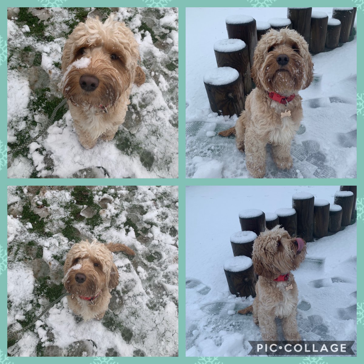 LeyTopPrimary's tweet photo. Reception loved playing in the snow this morning. Lots of fun was had by the children and staff!
#snow #eyfs #earlyyears #learninn #snowdog #reception #playing #bradford #allerton #leytop https://t.co/bNtVNGJtcR