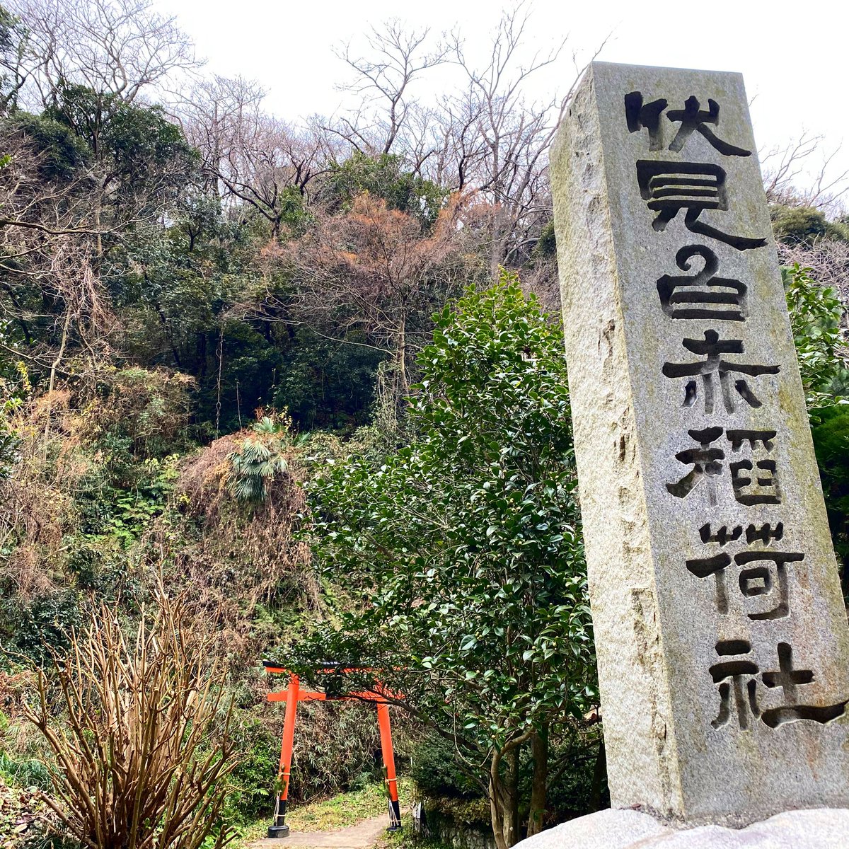 daishidance7's tweet photo. 鳥居を探して
2月リリース曲のジャケット写真の撮影に横須賀行きました⛩
#伏見白赤稲荷社 #横須賀
#鳥居 #TORii
#POWERSPOT #パワースポット
#LIST33
https://t.co/h32cL39j9a https://t.co/ra4qImd4gQ