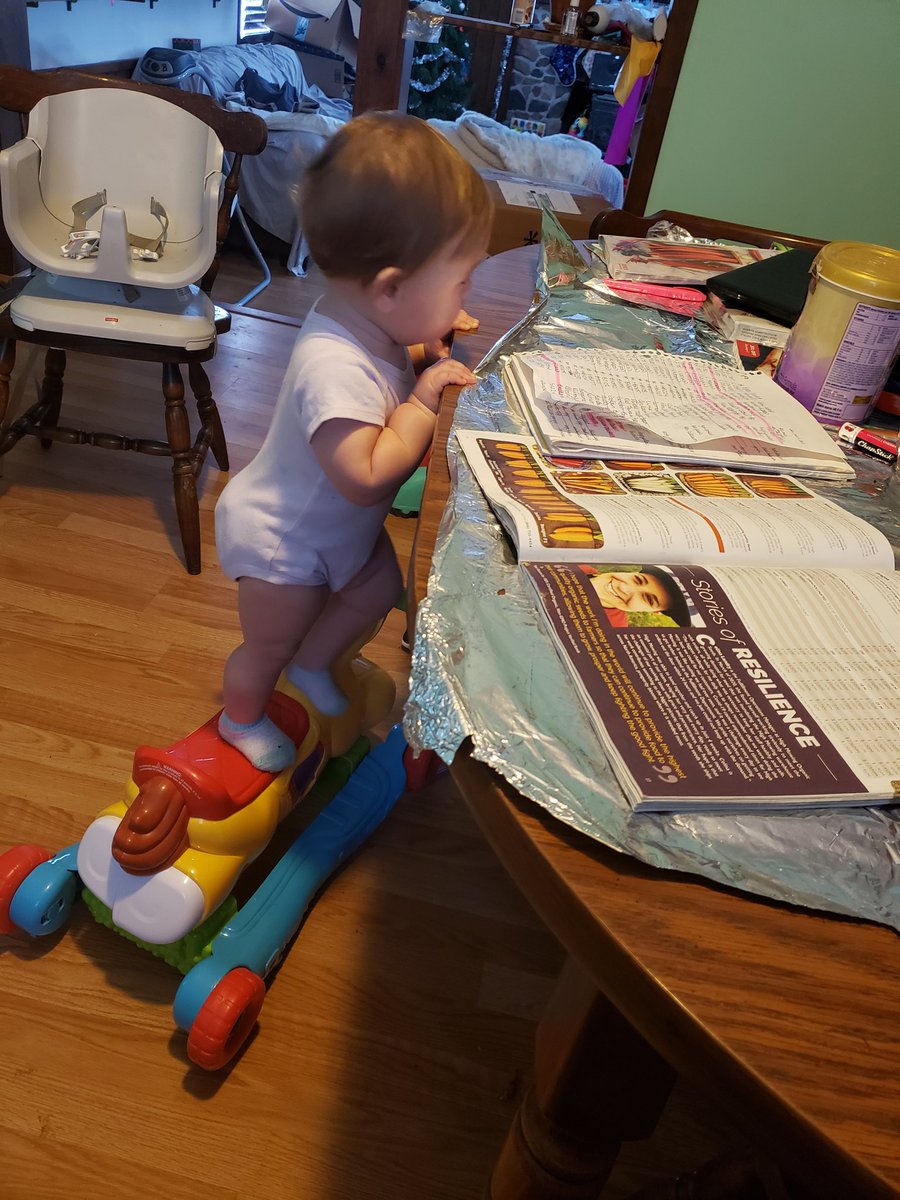 HogsbackHome's tweet image. Our little trick rider helping mom seed shop.🥰
It was about this time I realized we've been living here a year. Time has flown and we've already done quite a bit since being here. I wonder what it will look like next year.
Also, the foil is to keep the bratty cat off the table😂