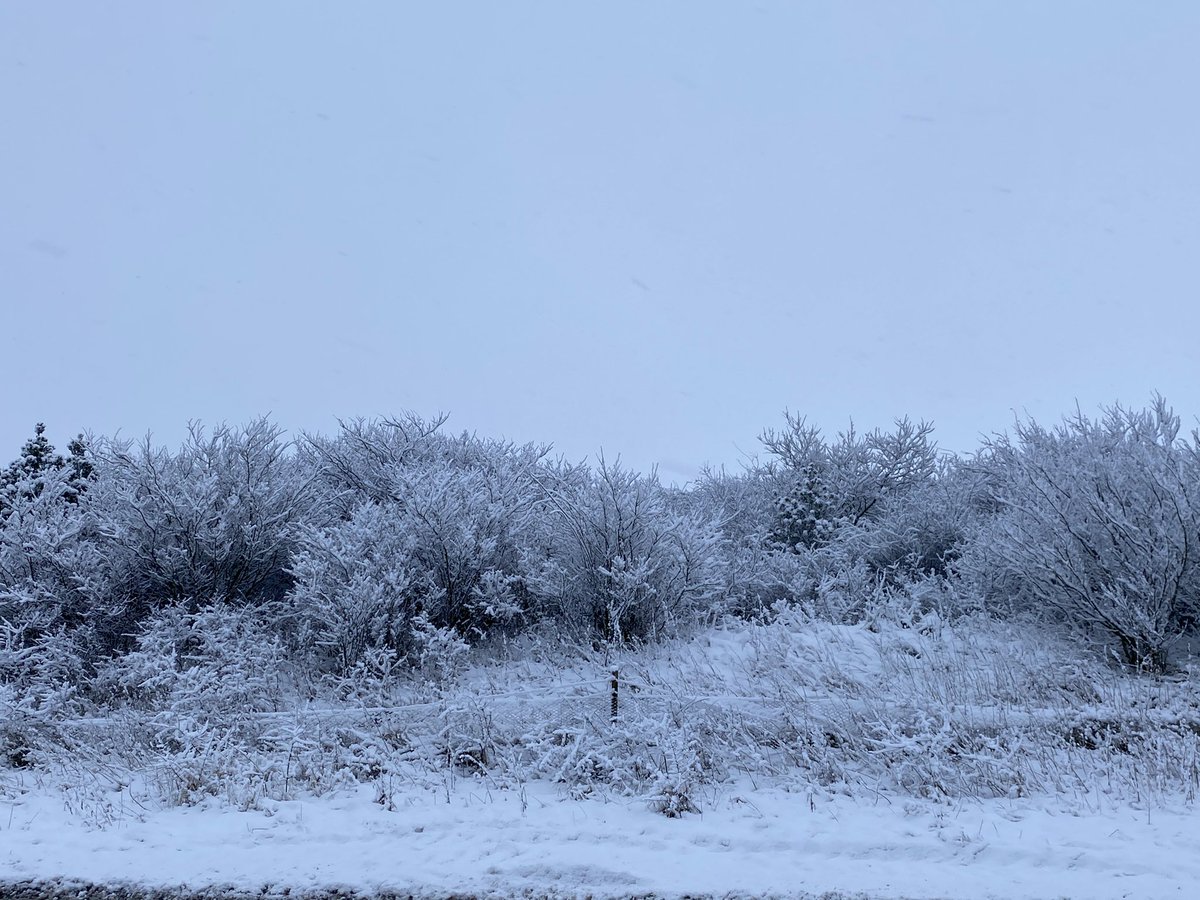 PlumbingModern's tweet photo. Today’s meeting is at #Blacburnhospital for our new project starting in the next couple of weeks. Quite a bit of #snow has fallen over the tops getting here, I don’t think it’s like your normal drive over the tops today @Mick_OD #Construction #NHS #m+e https://t.co/jnY5HcIGxD