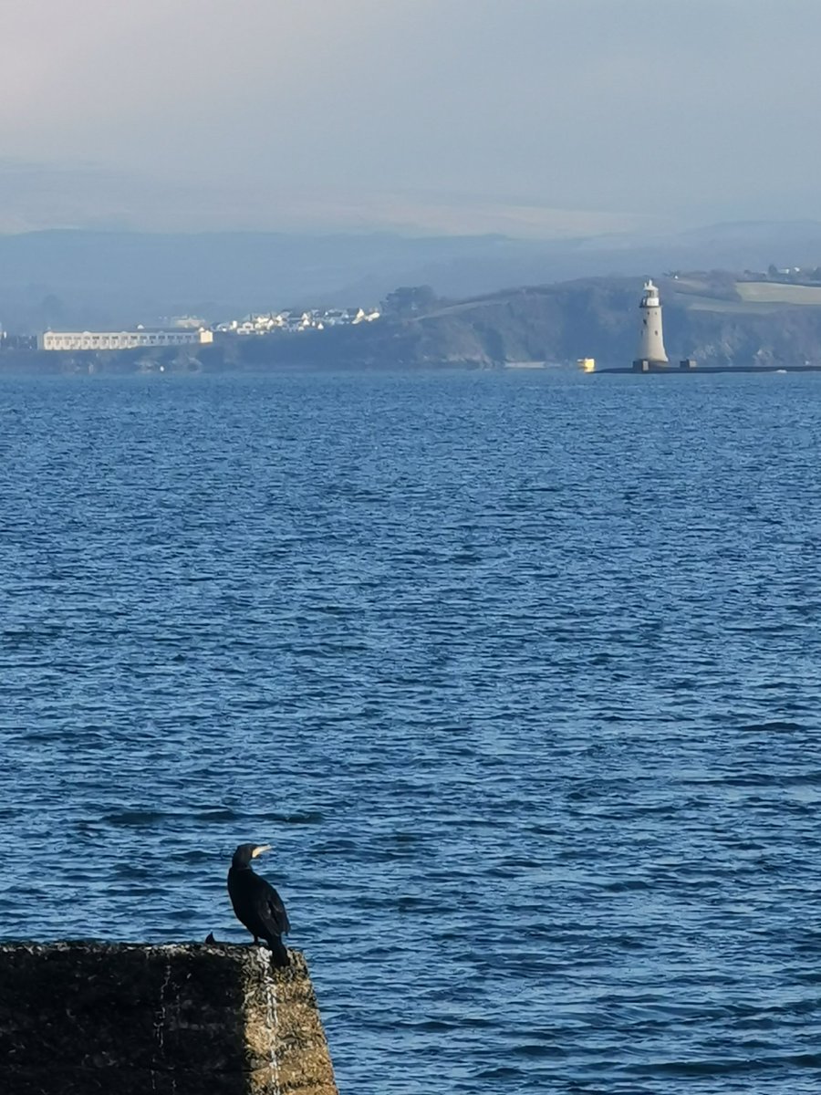 oban jones (@jonesoban) on Twitter photo It was still morning at <a href="/PlymouthMarine/">Plymouth Marine Lab</a> Penlee Atmospheric Observatory. If it weren't for the freezing temperatures you could have mistaken it for a summers day. It was still morning at <a href="/PlymouthMarine/">Plymouth Marine Lab</a> Penlee Atmospheric Observatory. If it weren't for the freezing temperatures you could have mistaken it for a summers day.