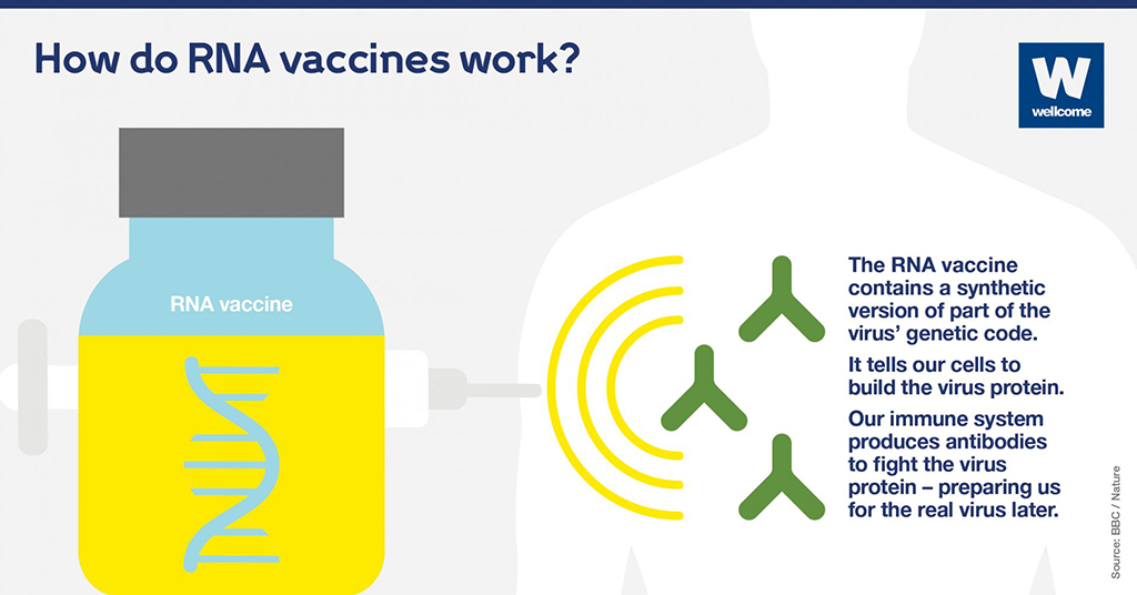 Wellcome tweet media