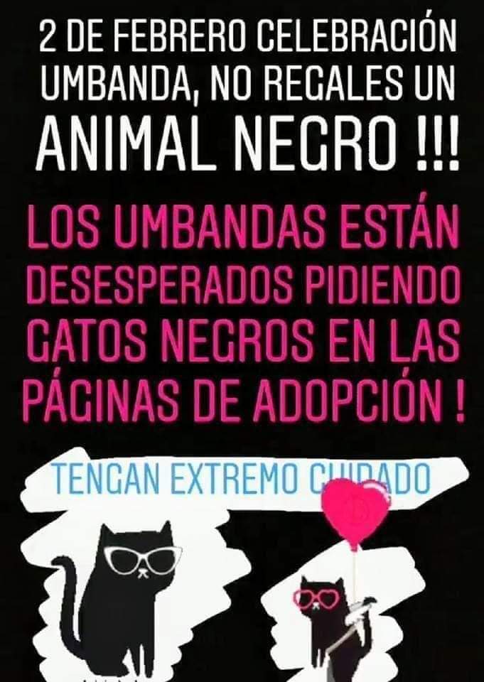 <a href="/ComunicadoOpina/">ComunicandoSiempre📣</a> 🆘️CUIDADO CON ESTOS QUE ESTAN ATENTOS🆘️