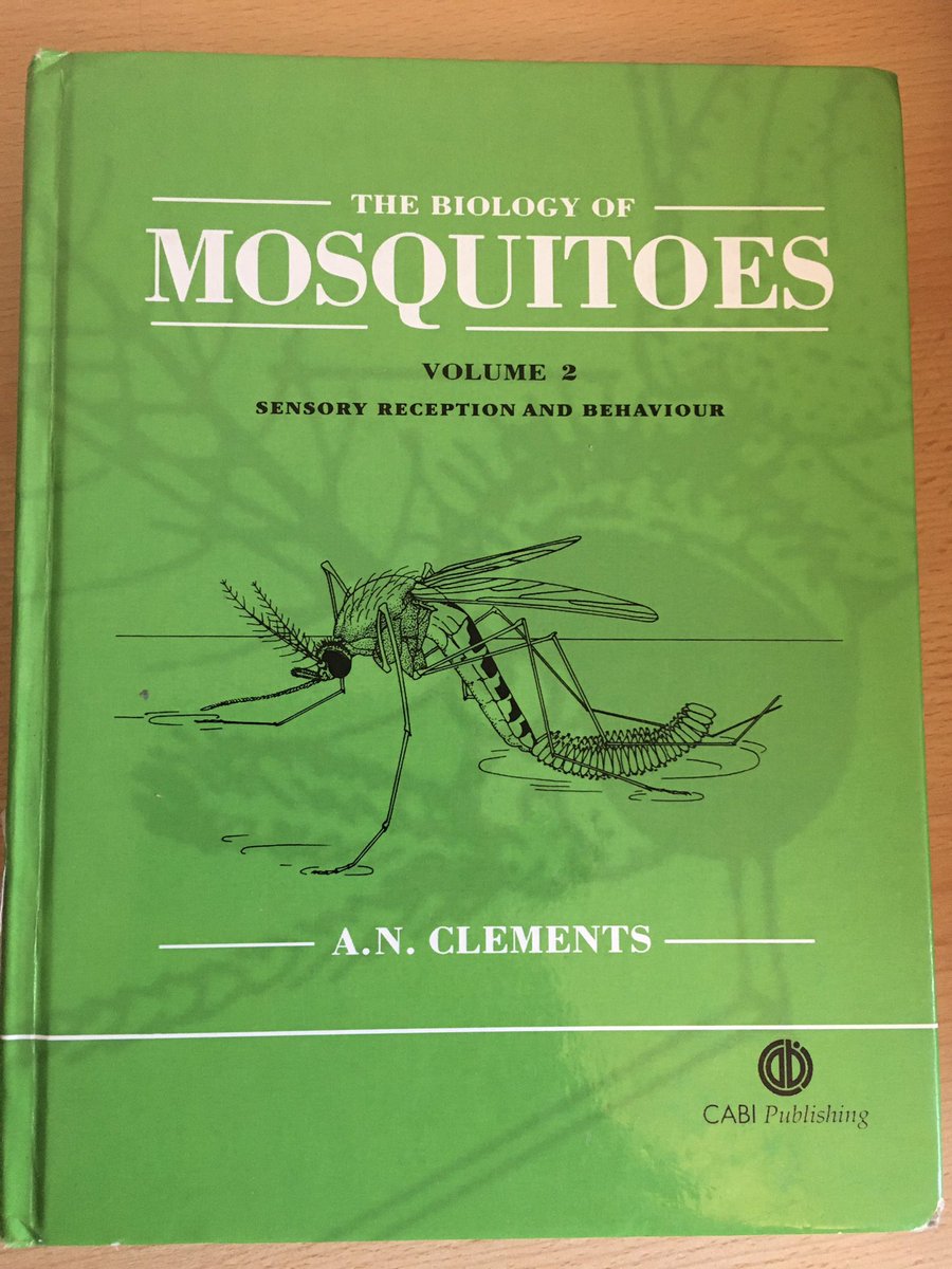 Dr Frances Hawkes tweet media