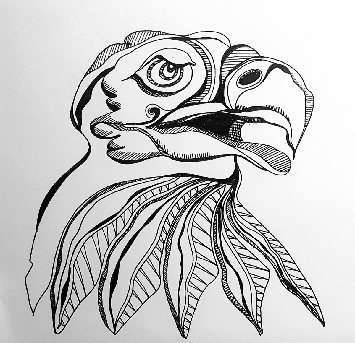 gtsr_pen's tweet photo. Waarom teken ik zo vaak vogels....? #vogel #tekening #Inkt https://t.co/hPf3Qh1UqV