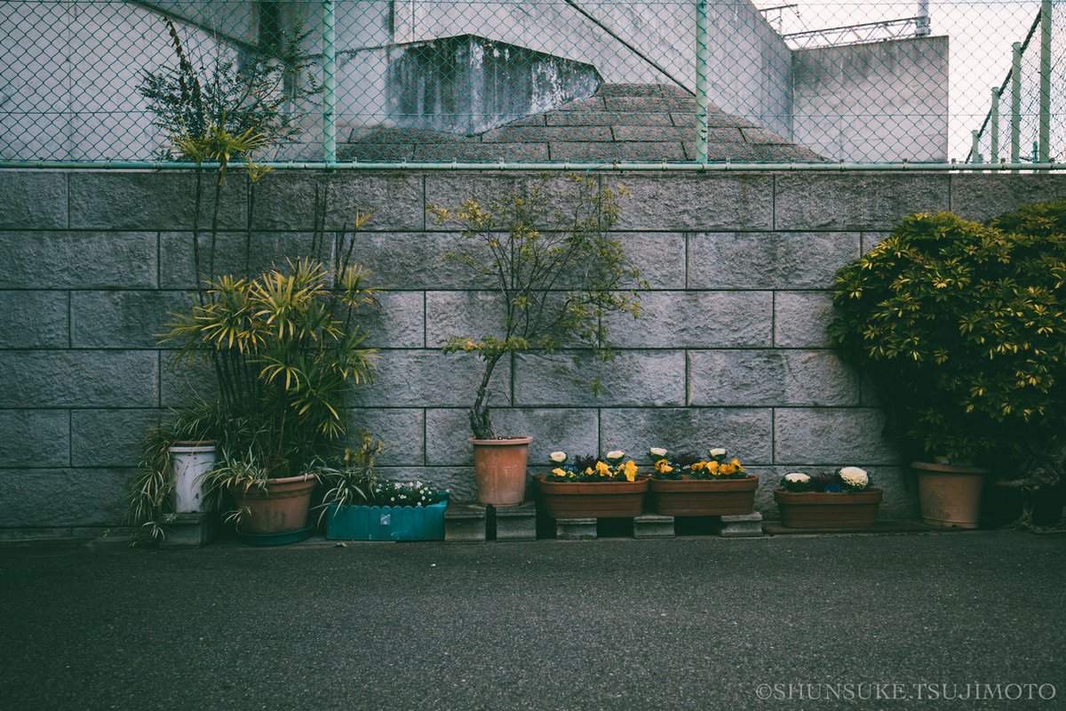 shun_tsujimoto's tweet photo. 📷
三国周辺
.
.
.
#三国 #笑顔 #撮影 #写真好きな人と繋がりたい #自由に撮るのが好き #スナップ #tokyocameraclub #photography #snapshot #worldoor #focus https://t.co/5IiYXNEgci