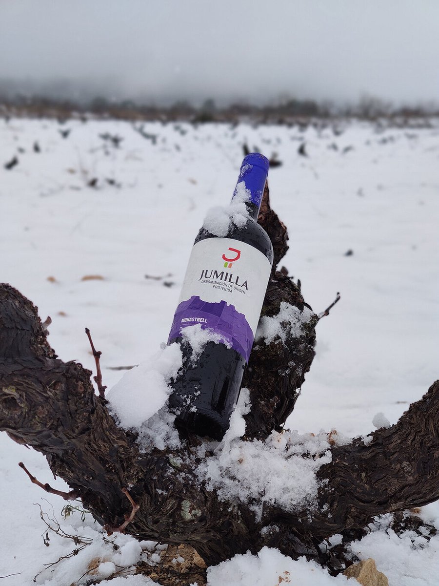 vinosjumilla's tweet photo. ❄️¡Filomena llega a #JumillaDOP!❄️
Despedimos las fiestas de Navidad con un paisaje de viñedos completamente cubiertos de blanco que nos brinda la borrasca #Filomena. La nieve no solo nos deja paisajes de portada, si no que mantiene un equilibrio natural con nuestros viñedos. https://t.co/Ombq2mT4C9