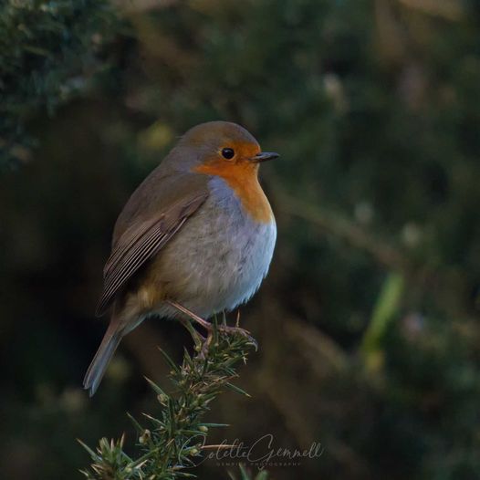 Bailieborough Creative Hub (@bbcreativehub) on Twitter photo What we see through our eyes or feel through our other senses can feed our creativity. Luckily in County Cavan we do not need to go far to find inspiration. Photos @colettegemmell instagram. Get inspired by your County.
#IrelandsAncientEast #Discoverireland
<a href="/ThisIsCavan/">THIS IS CAVAN!</a> What we see through our eyes or feel through our other senses can feed our creativity. Luckily in County Cavan we do not need to go far to find inspiration. Photos @colettegemmell instagram. Get inspired by your County.
#IrelandsAncientEast #Discoverireland
<a href="/ThisIsCavan/">THIS IS CAVAN!</a>