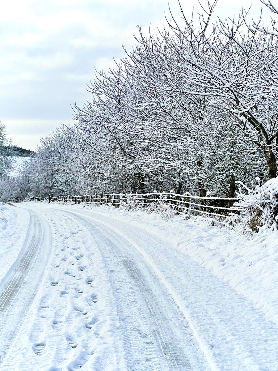 humlepie's tweet photo. Gorgeous but treacherous out there today @ELCouncil could we please get some gritters round to clear the road before there’s an accident. Several delivery vans and snow seekers getting stuck.  Stenton to Stoneypath and round to B6370. #StayAtHome https://t.co/YgDHWdI3fC