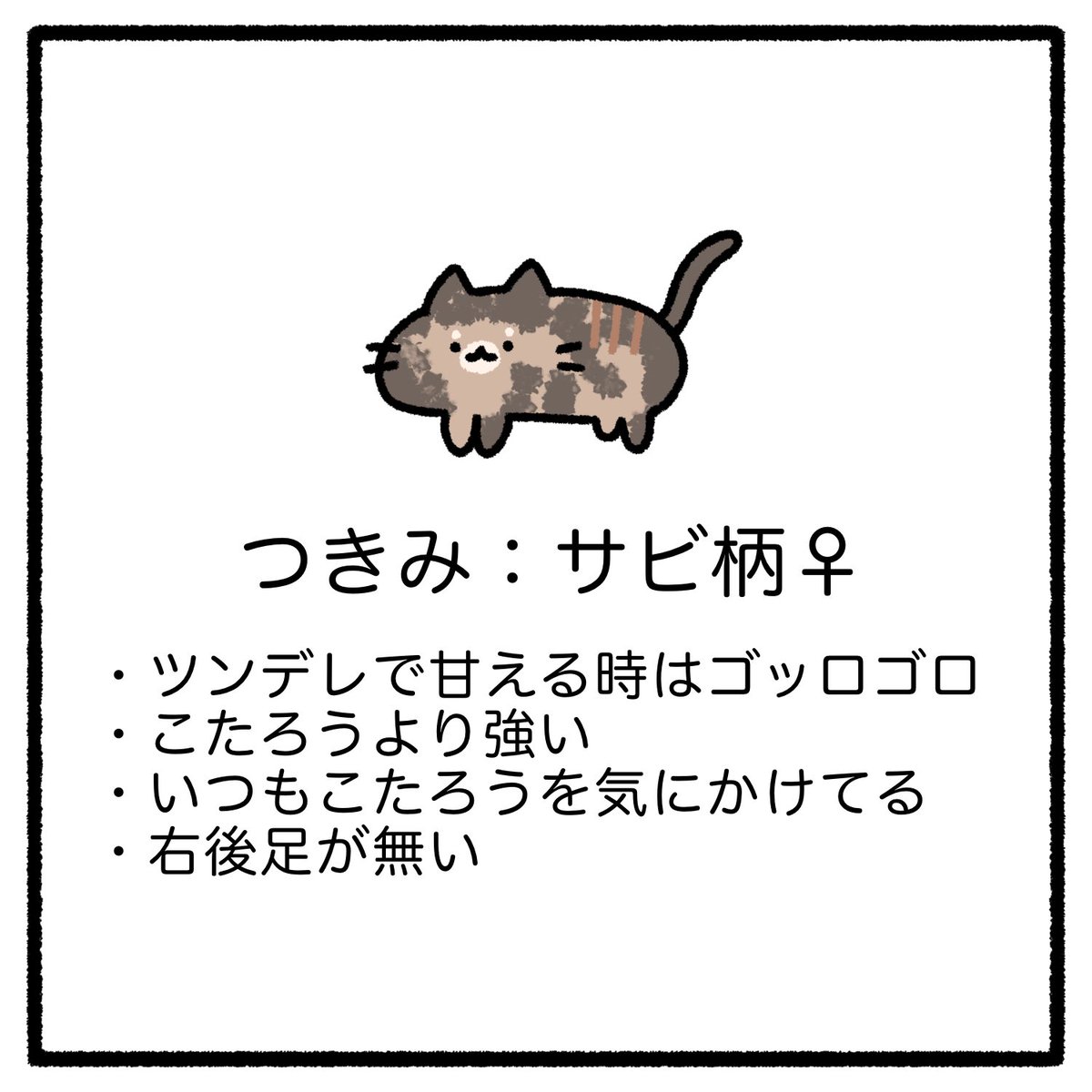 猫紹介 