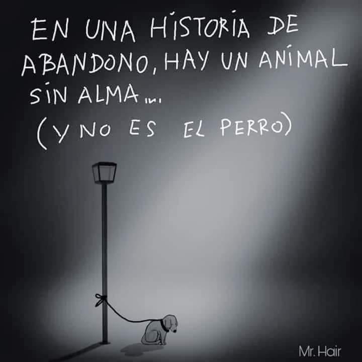 Quien no está dispuesto a cuidar...
no debe tener. 
#ProhíbidoAbandonar 
#Merlo #ZonaOeste #GranBsAs #BsAs