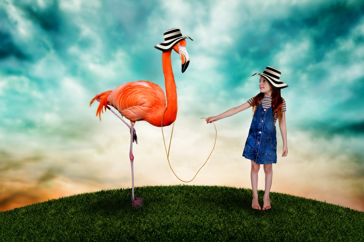 ImaginationsPr2's tweet photo. Flamingo Friday!! - 'Be A Flamingo In A Flock Of Pigeons'
Have a great weekend all!
#flamingo #Flamingos #standout #bebold #beyourown #beindividual #photoediting #digitalart #magical #memories #FridayFeeling #FridayMotivation https://t.co/0tfQZIaz3p