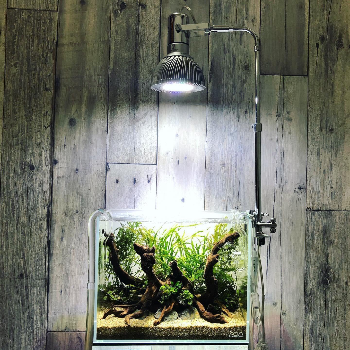 ZOOX RGB RAYS 20W LED ボルクス レディオアーム2 楽天市場】ZOOX