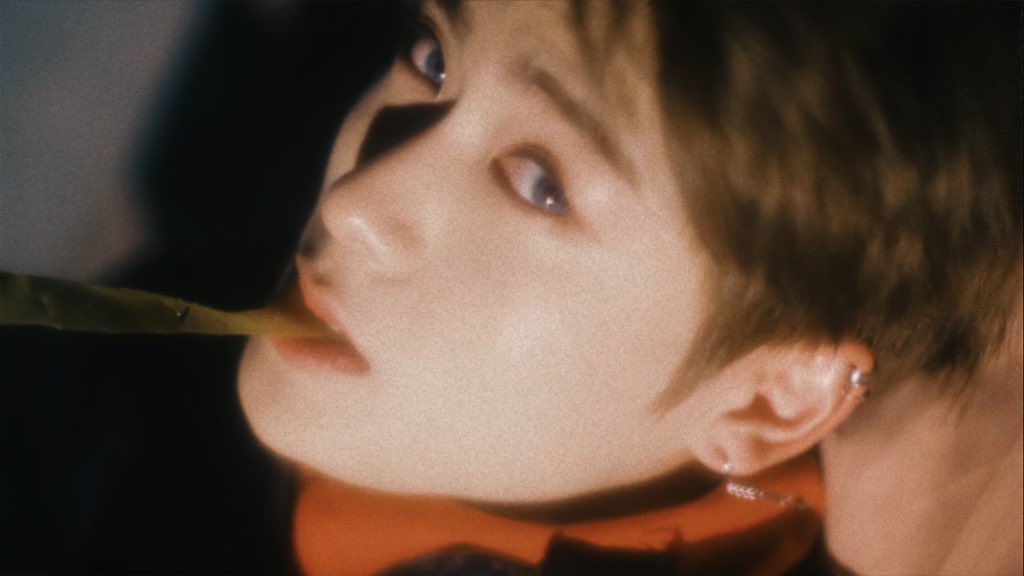 แมวดื้อ