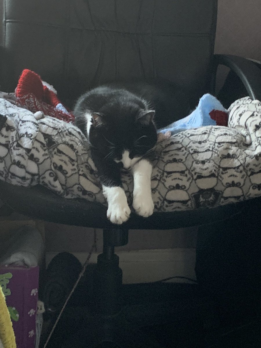 FelixHoracioC's tweet photo. Dads moaning that I lounge about all day whilst he’s out at work killing him self for us. https://t.co/0tUnJOENBI