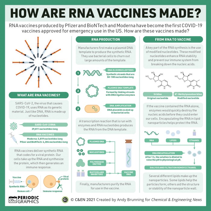 AmerChemSociety's tweet photo. RNA vaccines produced by Pfizer and BioNTech and Moderna have become the first to be deployed in the fight against COVID-19. In @cenmag's latest #PeriodicGraphics by @compoundchem learn how these new vaccines are made: https://t.co/T1LGrfoeOV #FridayReads https://t.co/Hk3UjkA8YB