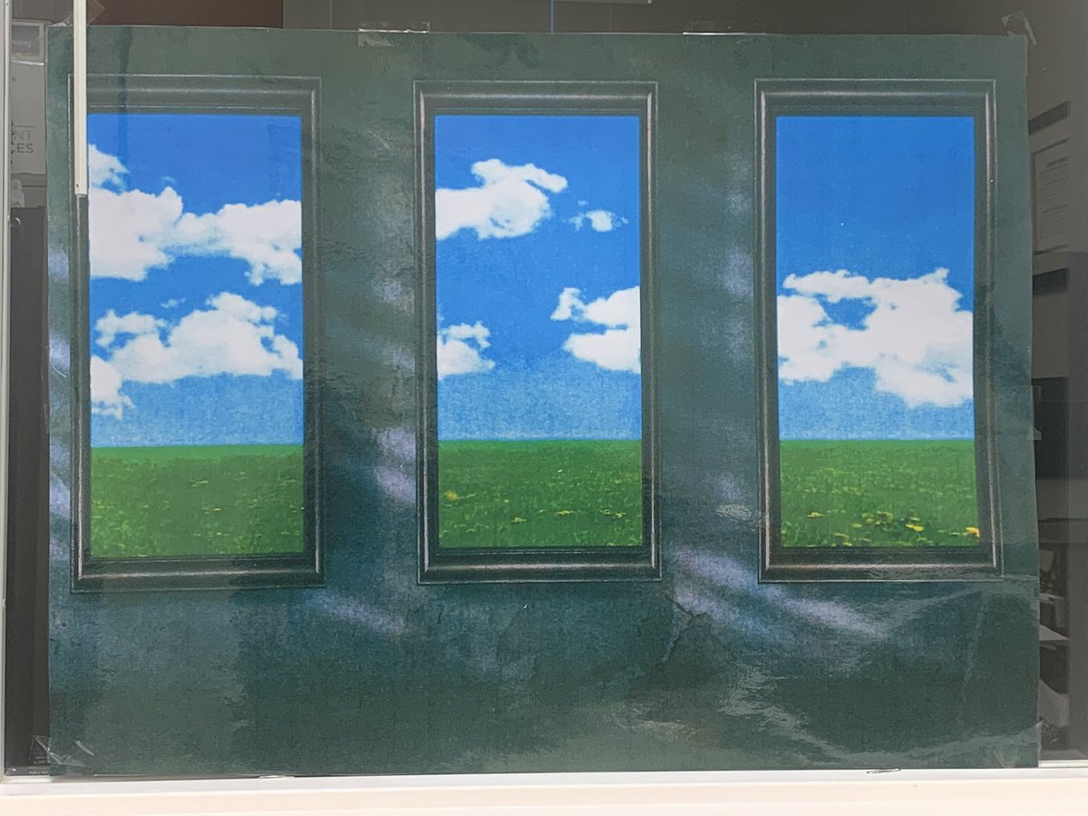 LMCoxton's tweet photo. You know you work with the best team when they ensure you see sunshine even on a gloomy day! #TeamESE @LetsBrockItOut @sjones1478 @ShirbyThomas @Shannon20893855 @ShandraSupports @TaraGeiser @IamNicollegrant @LaTonya_Young13 @scoxhcs https://t.co/Xvb6H6JIzc