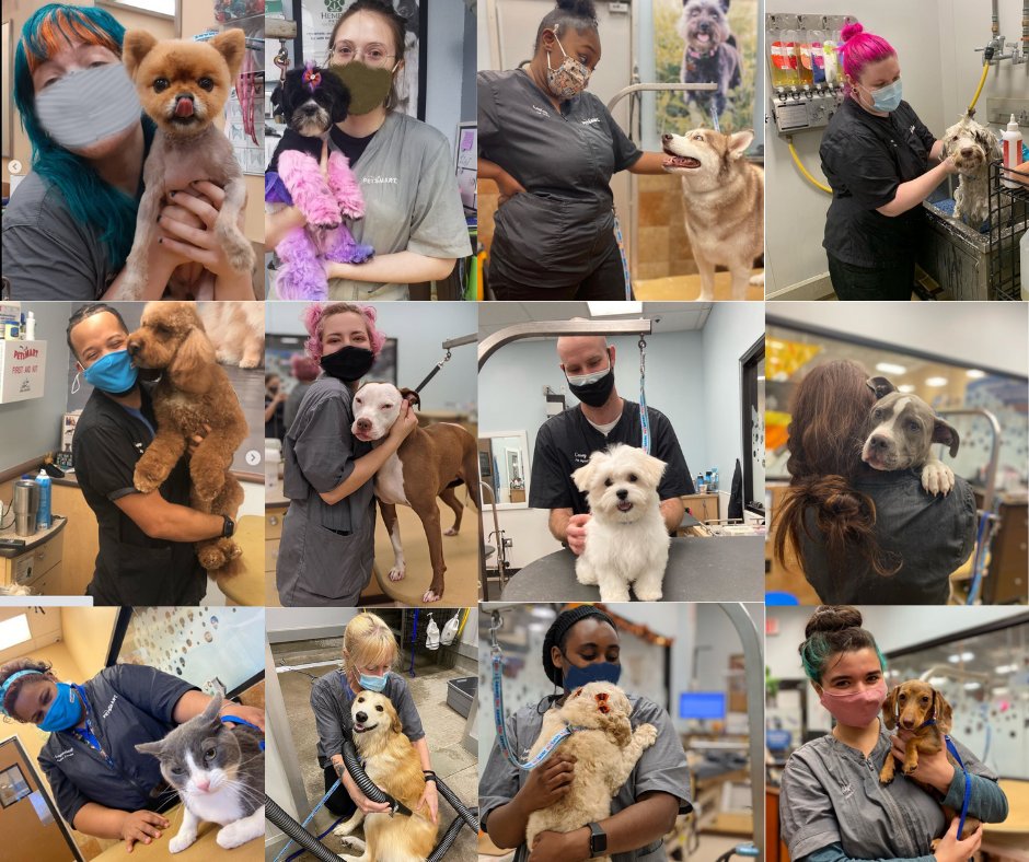 There are MANY things to love about grooming #LifeAtPetSmart ... like sign-on bonuses, great benefits, growth opportunities, and a doggone lot more! Visit career.petsmart.com/salons to see what it's all about and apply now.
