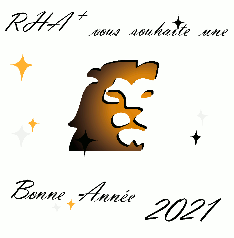 RHAplus's tweet photo. Toute l’équipe #RHA+ se joint à son directeur, Ludovic Chavoix, pour vous souhaiter une belle et heureuse année 2021, pleine de réussites professionnelles et vous assure de sa disponibilité et de son soutien tout au long de cette nouvelle année ! https://t.co/43hizdMaGS