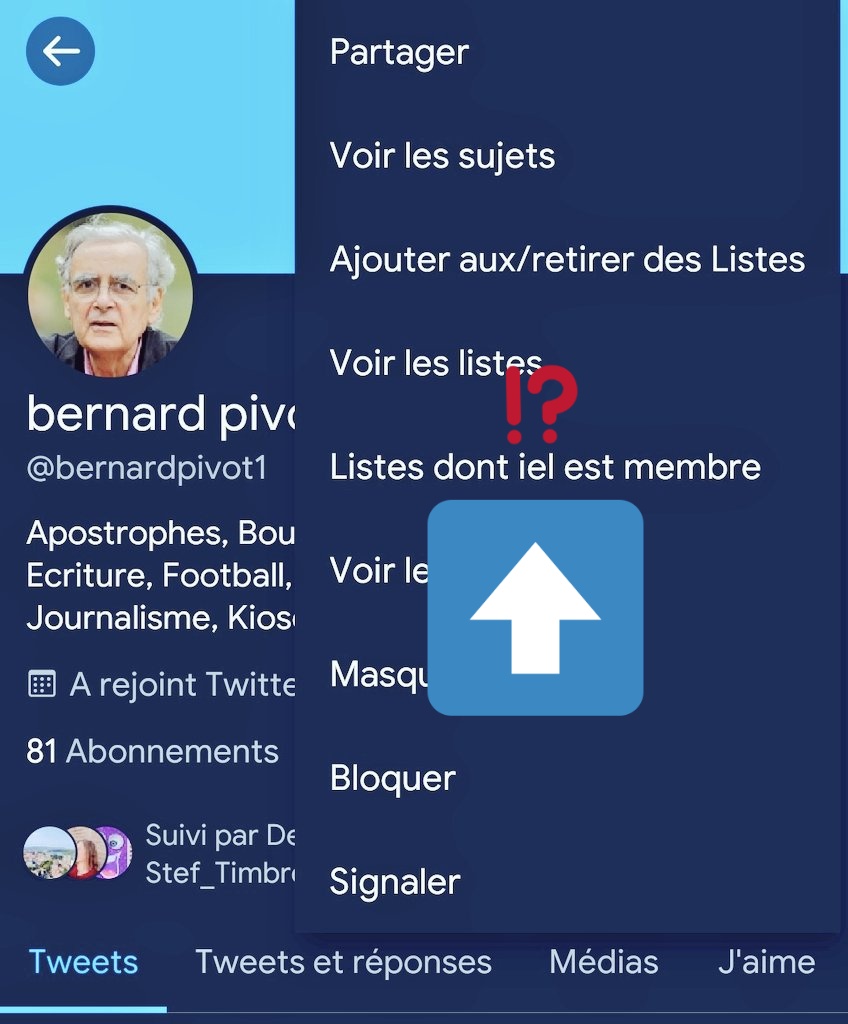 WNB_____'s tweet photo. @Twitter @TwitterFrance 
Vous embauchez ?
Parce que apparemment vos traducteurs ne savent pas écrire français !?
@bernardpivot1 #languefrancaise #iel ? Sérieusement ? https://t.co/EpynmpL9SP