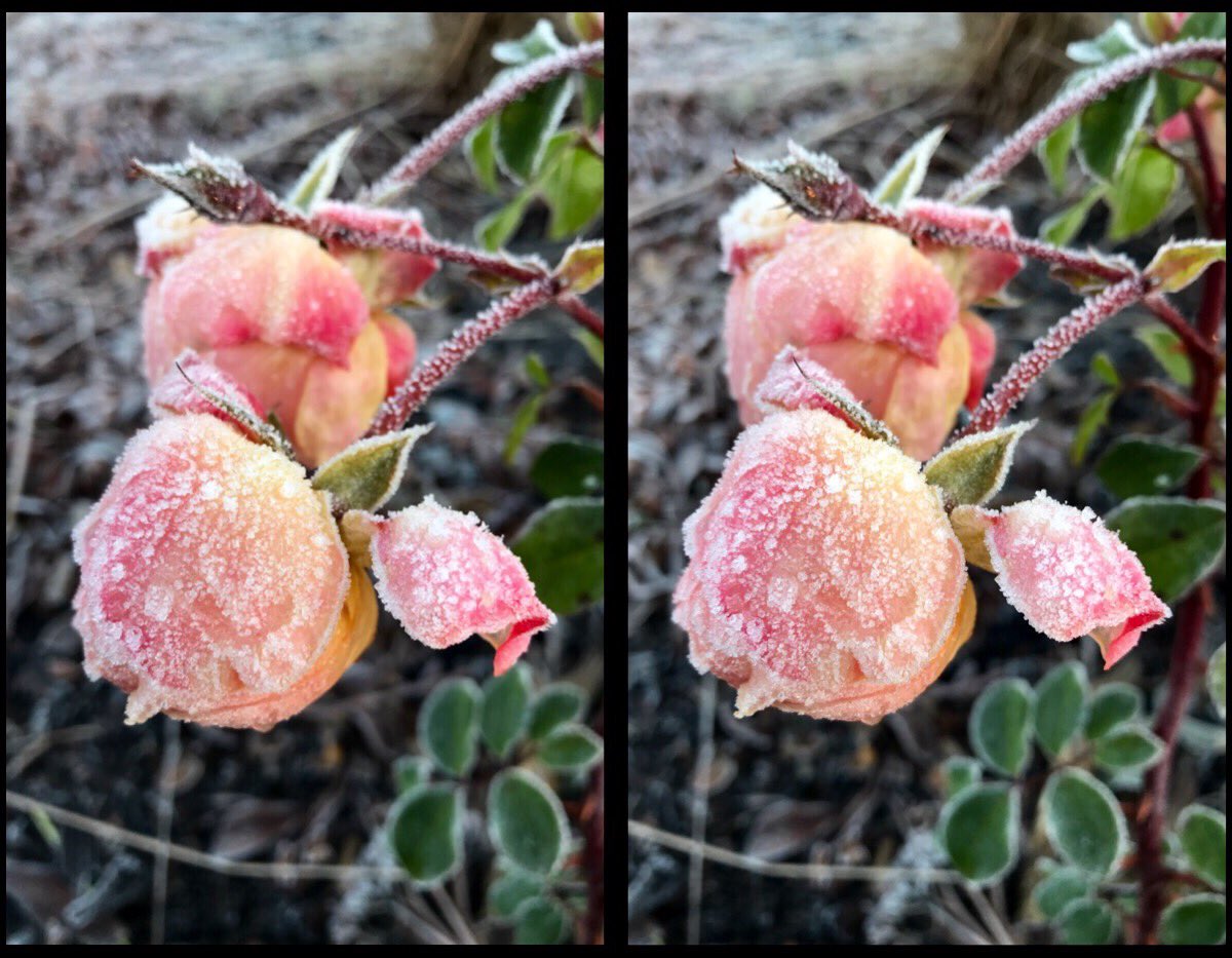 Left Right & Centre tweet media