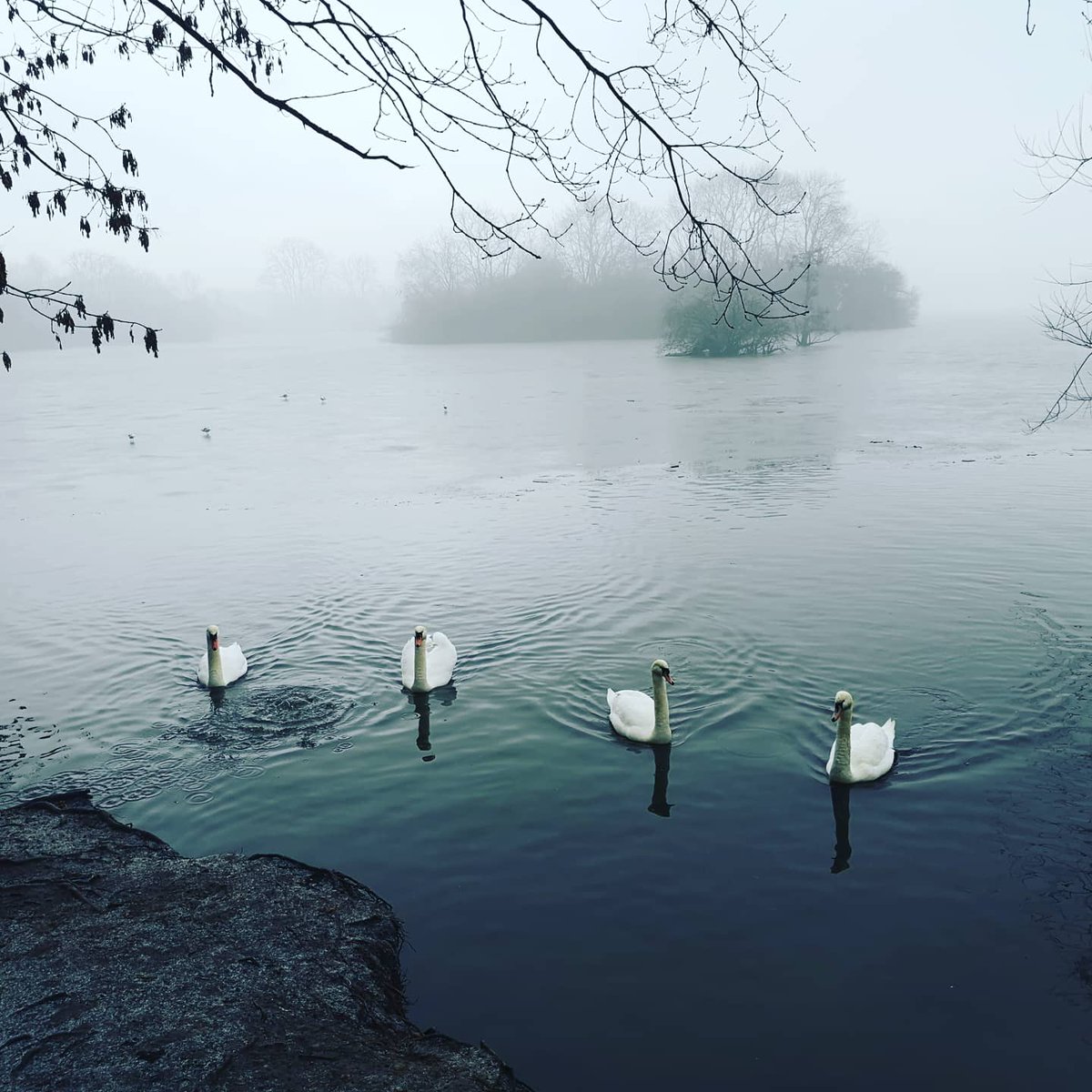 Anna Marshall (Nee Burrows) tweet media