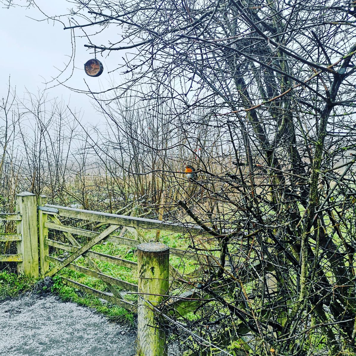 Anna Marshall (Nee Burrows) tweet media