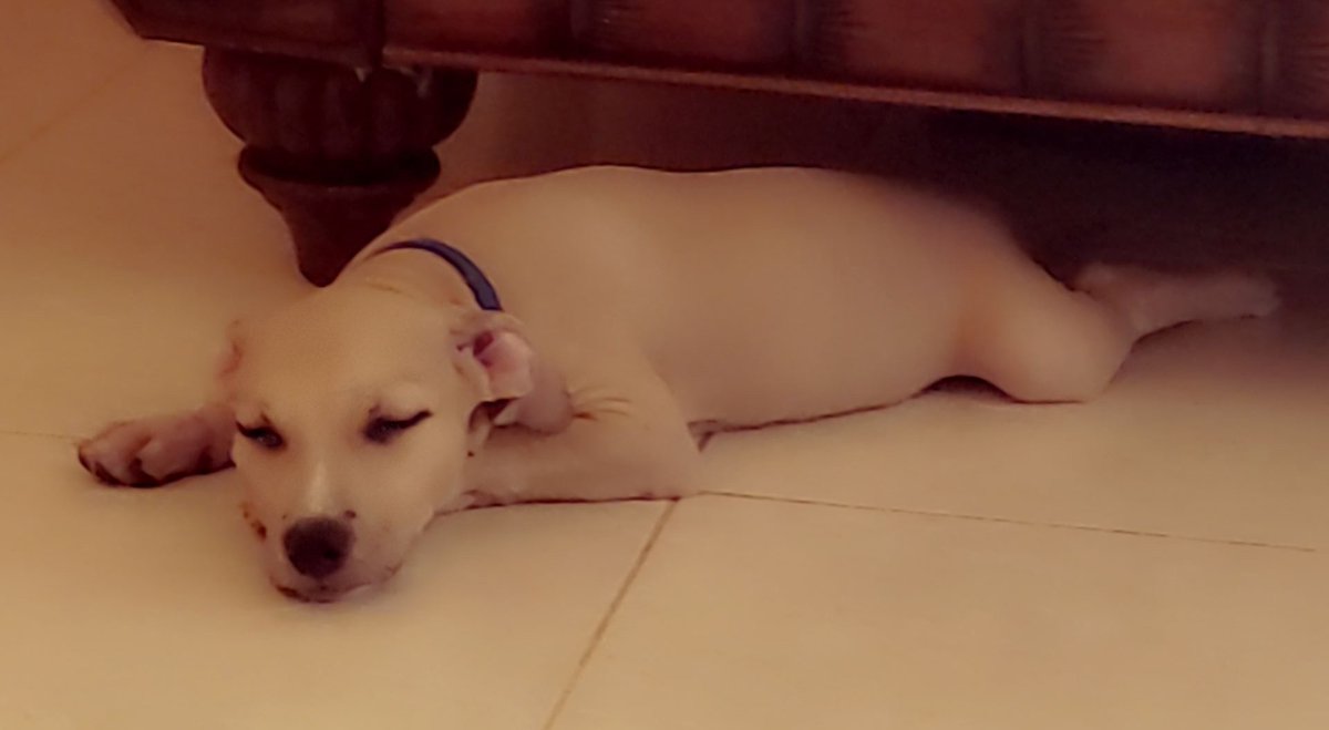 Champagne Mami 🍾 tweet media