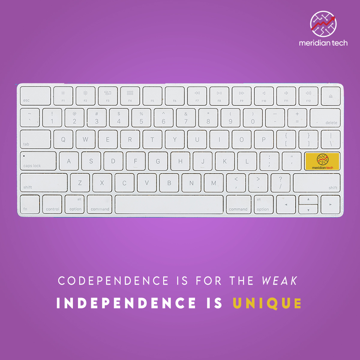 fulcrum_hr's tweet image. Create Unique brand identity with Meridian Tech.

Let us carve it out for you.
Give us a ring.
Phone: +92 333 3569295
UAN: 111333375

#meridiantech #karachi #lahore #islamabad #digitalmarketing #socialmediamarketing #contentmarketing #brandingstrategy #leadgeneration