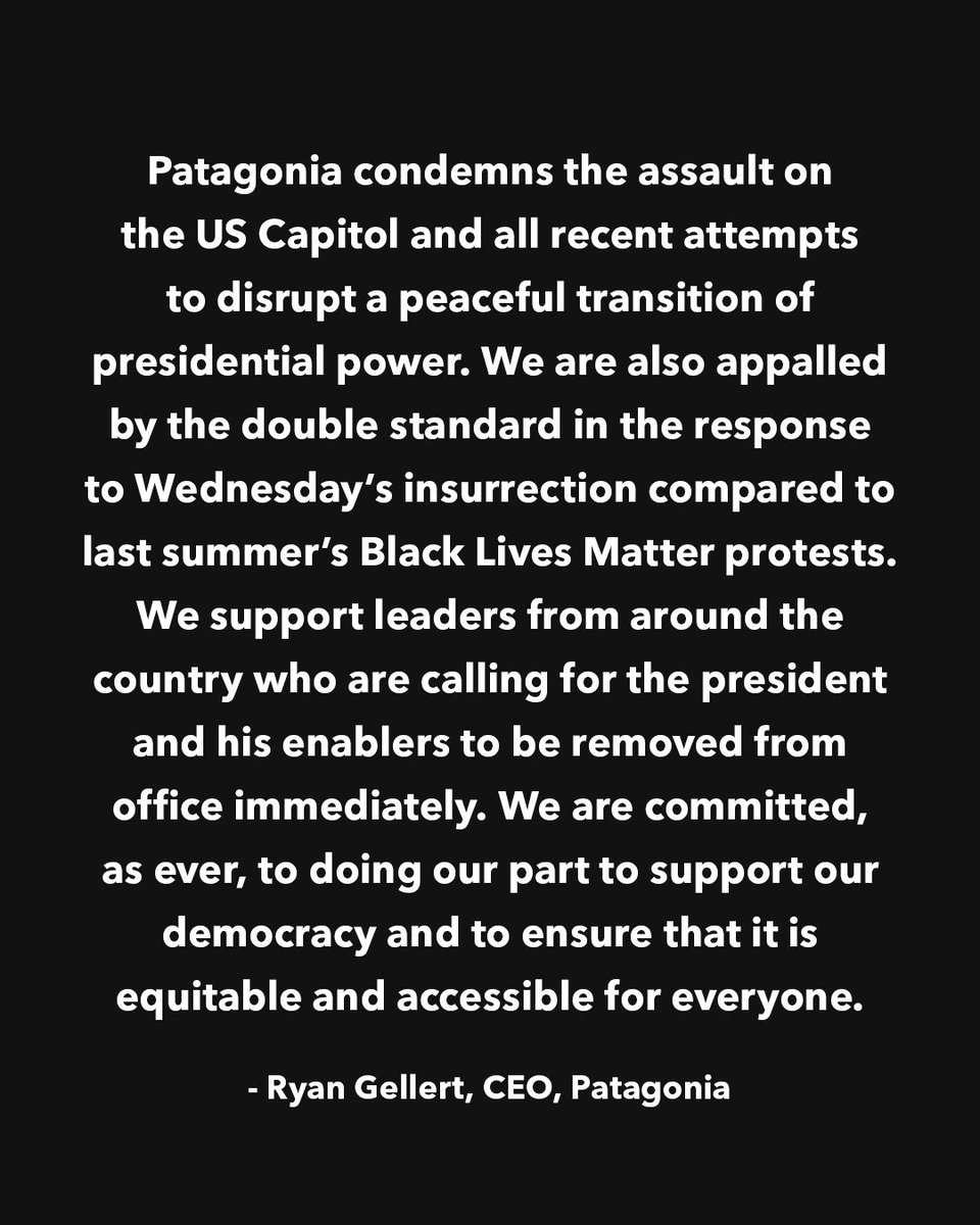 Patagonia tweet media