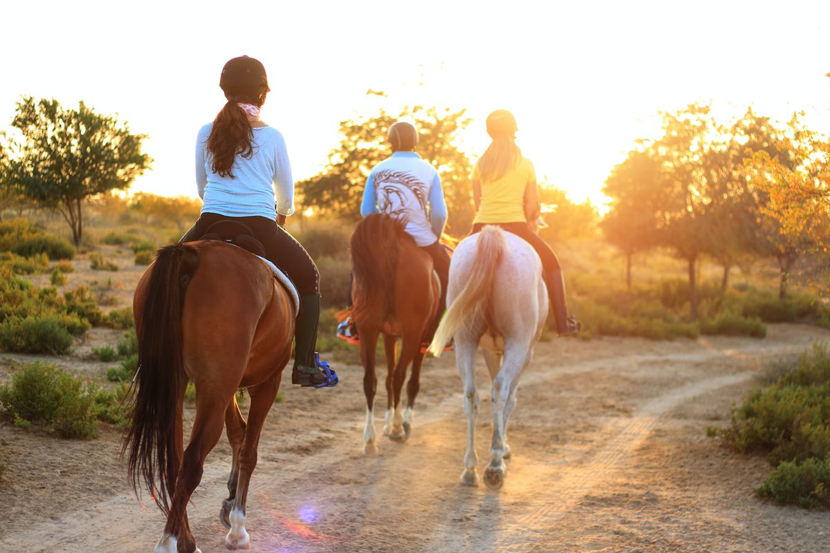 mangorvrentals's tweet photo. Where can a MangoRV take you? Today it's Corpus Christi, Texas. Experience horseback riding with the family and other exciting outdoor activities in the Texas Gulf Coast.
Book now on https://t.co/YMY4vKMGeo
~
#MangoRV #RVlife #RVing #RVs #wanderlust #goexplore #corpuschristi https://t.co/bs1u1543U3
