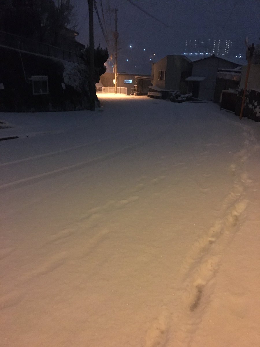 imRyoya718's tweet photo. くっそ帰りずらかった https://t.co/FElHdv8zyq
