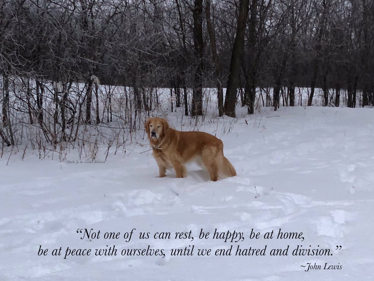 darbijothegoldn's tweet photo. Peace. Love. Hope. 
Let’s have a reset, everypawdy... please?
#timeforkindness https://t.co/YFKOi483fi