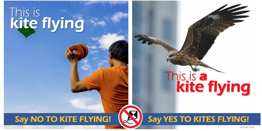 anandsiva's tweet photo. #kitefestival may be fun for you, but it kills innocent lives. Stop killing in the name of sport & tradition! #SayNoToKites #NoToKiteFlying #SkiesAreForBirds #shankranti #makashankaranti https://t.co/Dq7UefGFiM