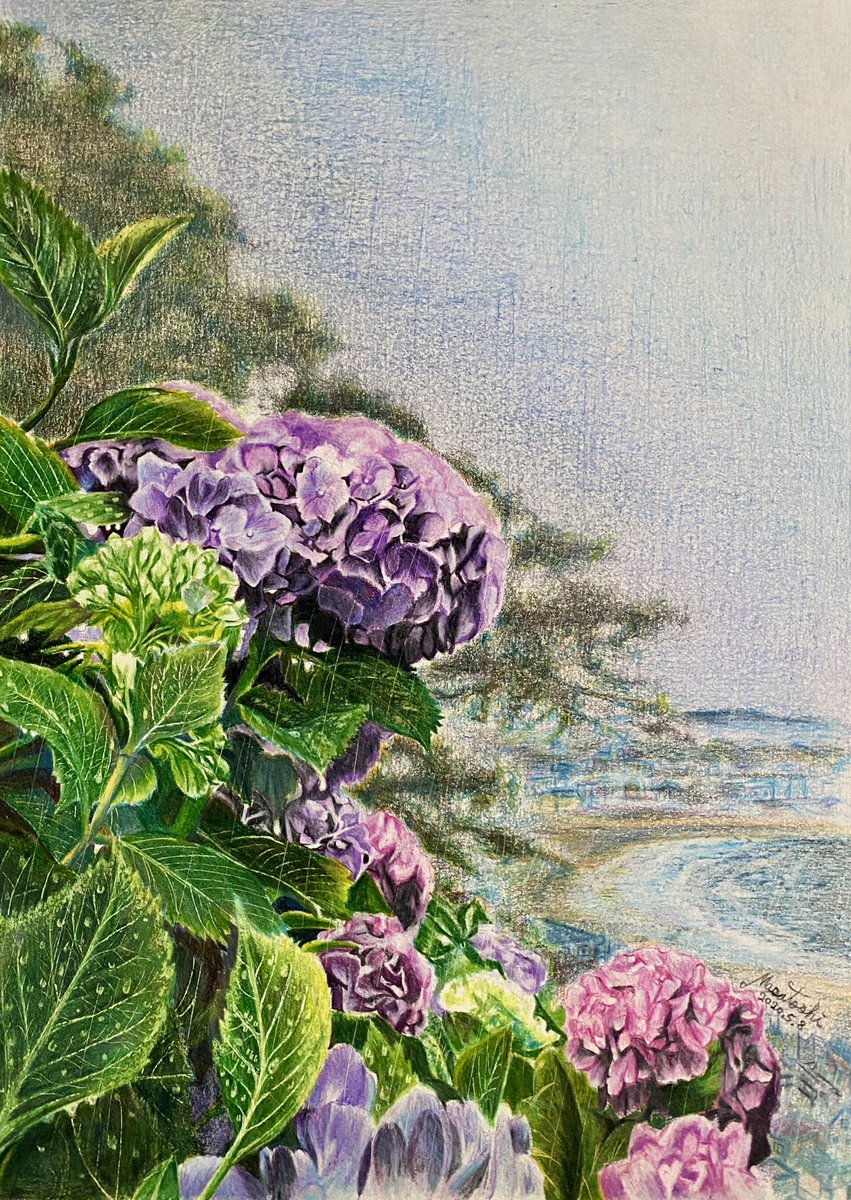 Twoucan 紫陽花 の注目ツイート イラスト マンガ