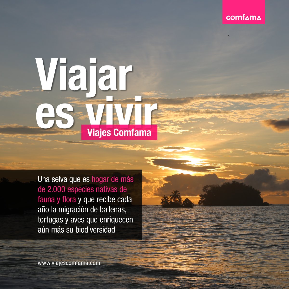 Conectarnos con la naturaleza, visitar una reserva y estar cerca de las  ballenas son algunas de las experiencias que podrás vivir con nuestros  Viajes Comfama en Bahía Solano.