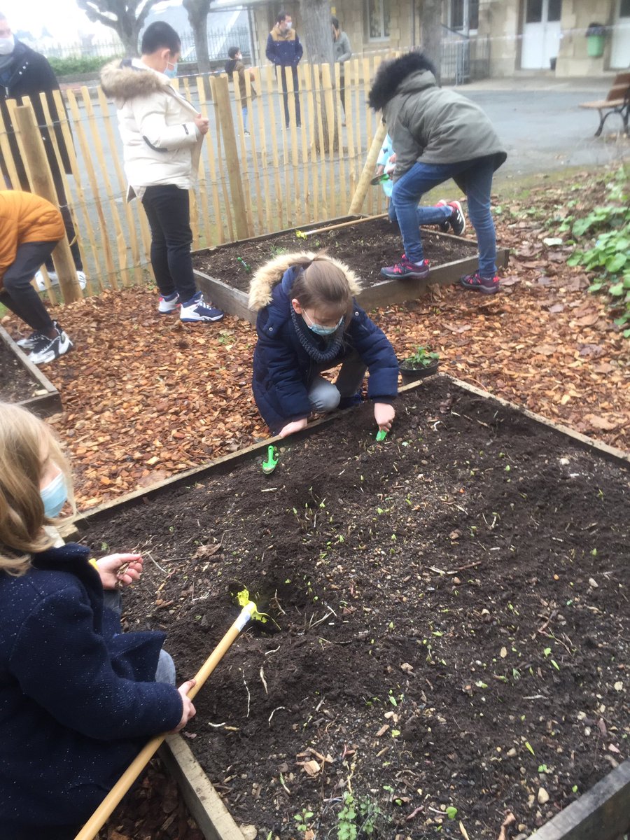 Allard_Ferry's tweet photo. Les bonnes résolutions 2021 #ProjetBioFerry: défricher semer,planter pour un jour récolter. https://t.co/DfbewMcgRL