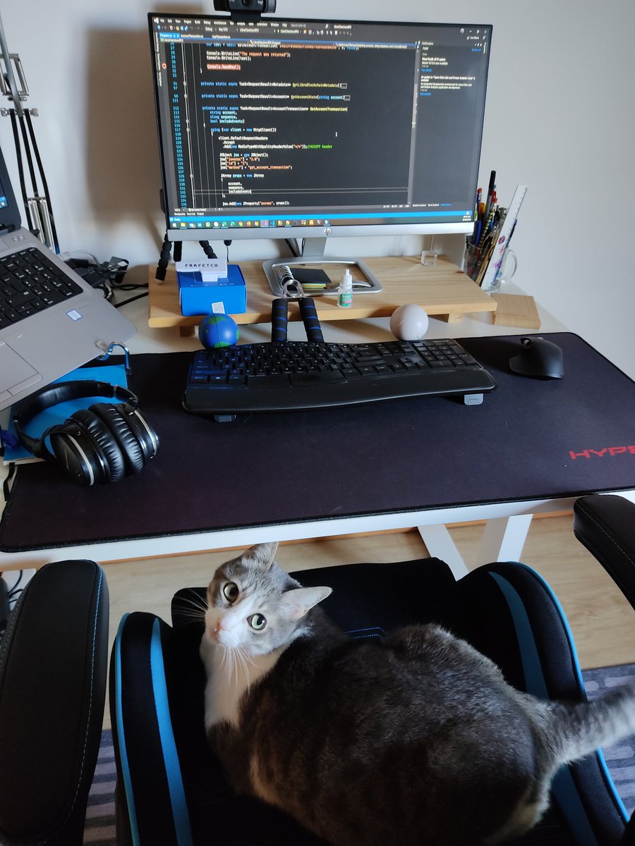 jrobertofaraujo's tweet image. Este é o Dio. Ronnie James Dio!!!
#CatCoder
