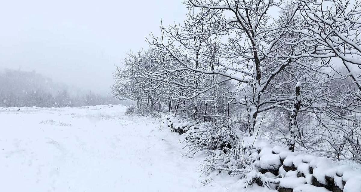 hateggeoparc's tweet photo. Afară ninge liniștit și noi ne bucurăm de #primazapada din an în Geoparc.
🇬🇧 Outside is snowing peacefully and we are enjoying #thefirstsnow of this year.
#hateggeoparc #UNESCOgeoparks #EGNetwork #unibuc #primazapada2021 #thefirstsnowin2021 https://t.co/1b7rnaLYZM