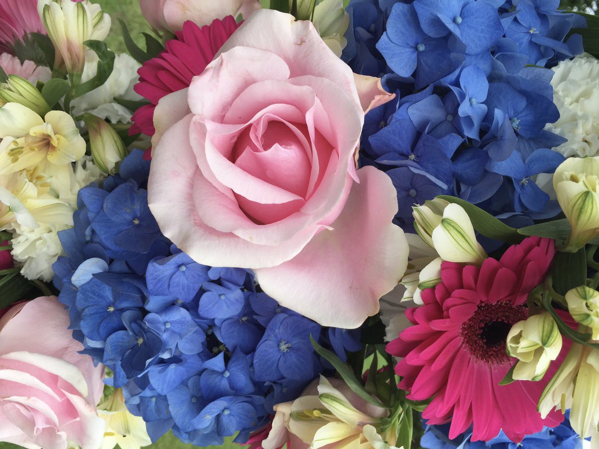 OilsandYou's tweet photo. #FlowersOnFriday - I love this shot taken at @hevercastle during their #HeverinBloom festival, so vibrant & colourful 💙💗💛❤️ @flowersonfriday #thefutureisbright 🌸🌺🌹🌼 https://t.co/P45g0hVaTd