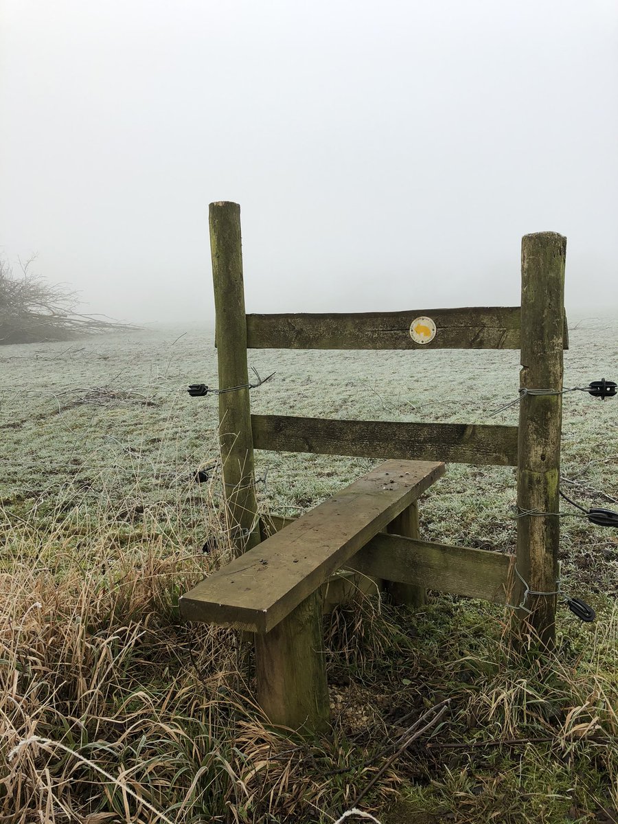 More stiles on a narrow footpath alongside a field containing dinosaurs