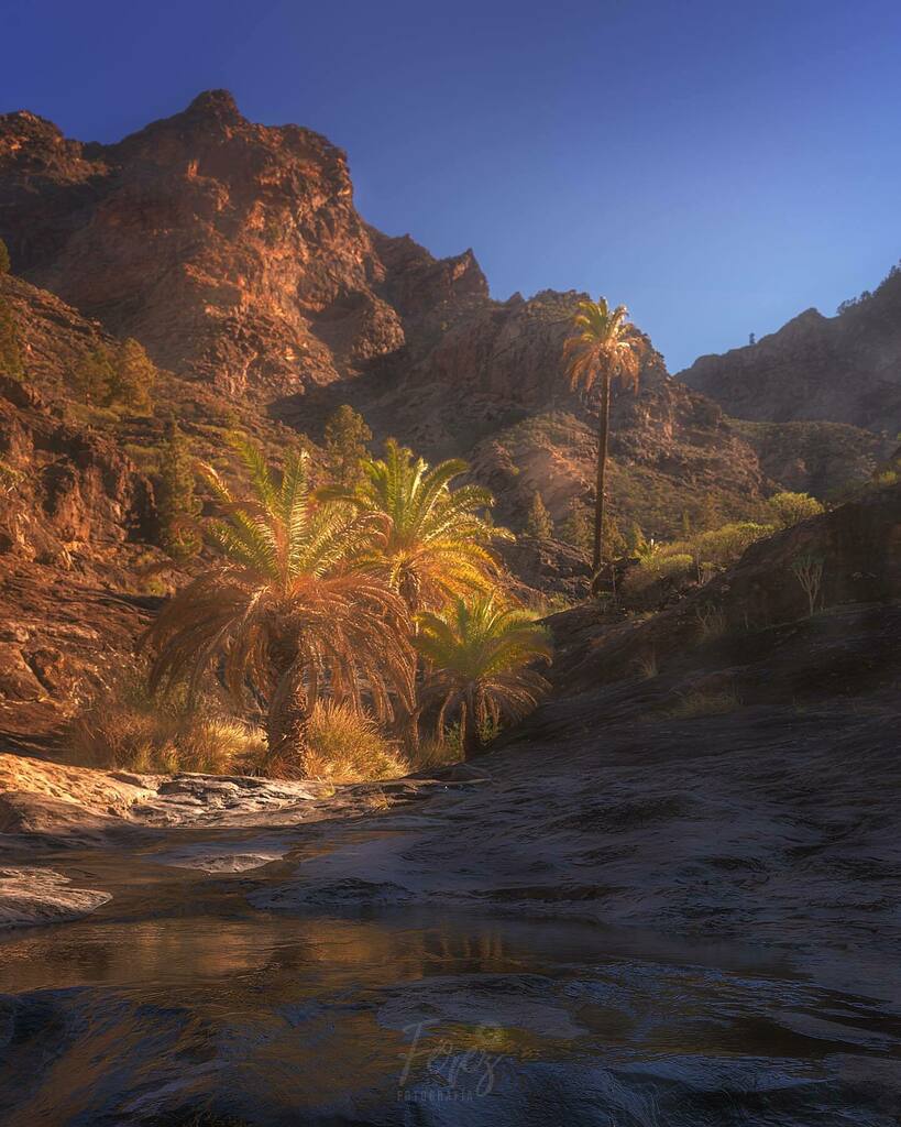 ferezfotografia's tweet photo. 🇮🇨En algún lugar de Gran Canaria….🇮🇨
.
.
.
.
.
.
#canarias #canaryislands #islascanarias #latituddevida #addicted_to_canarias #espacio_canario #ig_canarias_ #ok_canarias #canariasviva #venacanarias #total_canarias #canariasgrafias #canarios5estrellas #choleandocanarias #top_… https://t.co/QsgaiZHZ2G