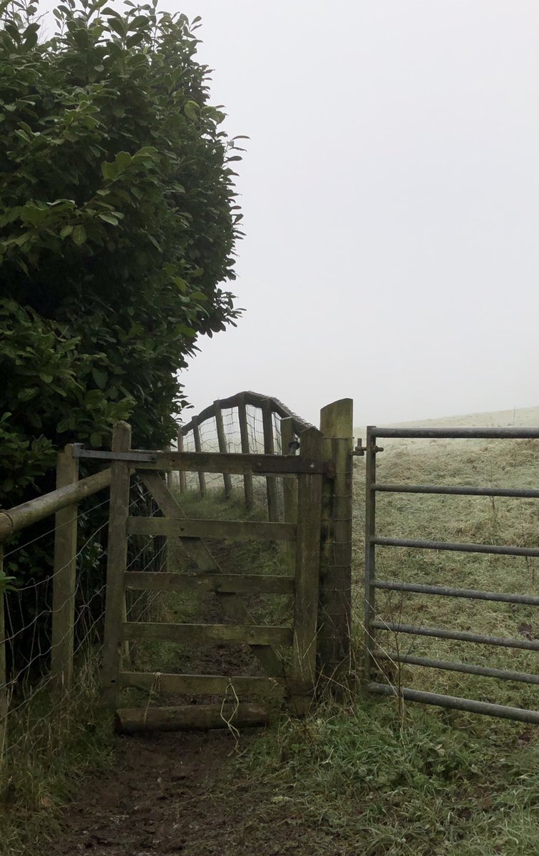 A locked gate, a creepily narrow path and frosty ridge & furrow