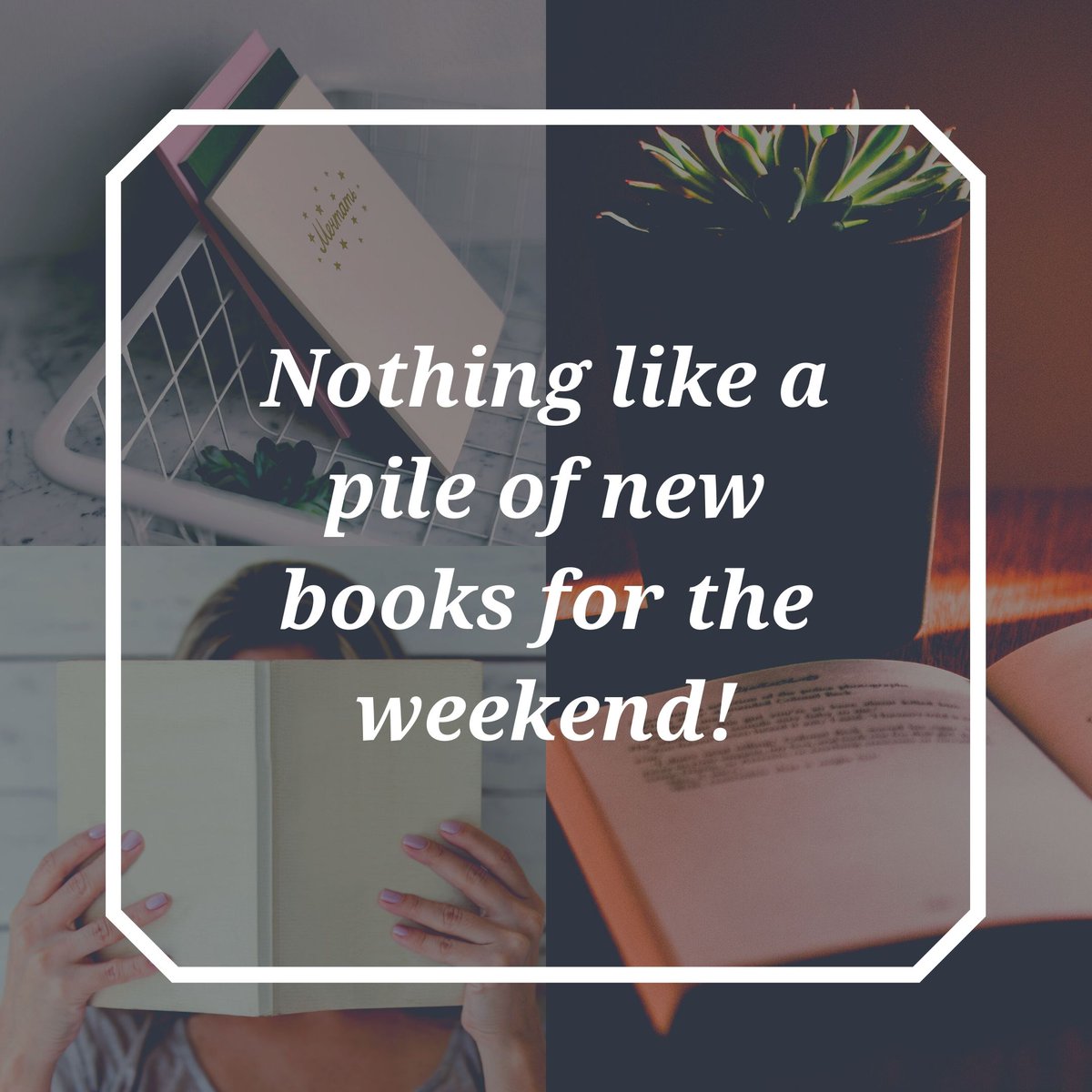 VeloPress tweet media