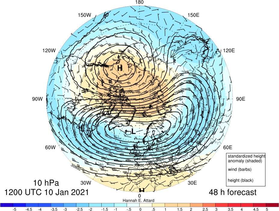 Compare the 10 hPa zonal-mean u forecast at 60N and 65N:

At 60N: u is forecast to return to westerly and then back to easterly. (@SimonLeeWx)

At 65N: u is forecast to stay easterly. 

Either way: vortex is elongated and displaced.