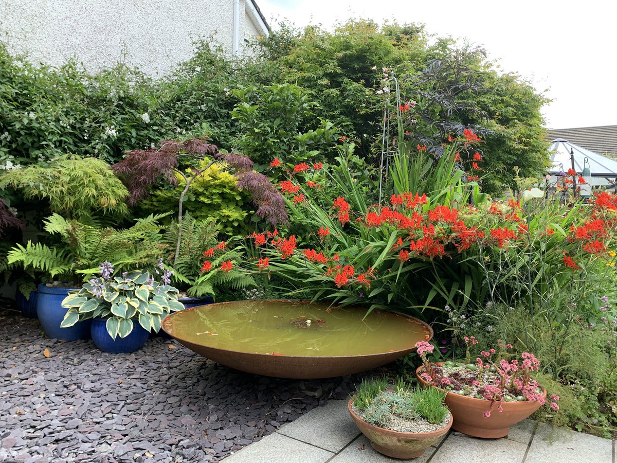 Get those garden pics out!   
Post the best shot from your growing year.  
Here’s Ours...